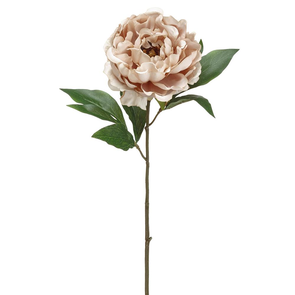 18.5" DECOR PEONY SPRAY BE