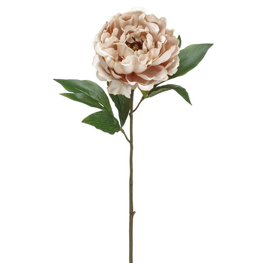 18.5" DECOR PEONY SPRAY BE