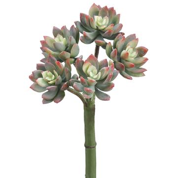 9" Real Touch Mini Echeveria x5 Green Red