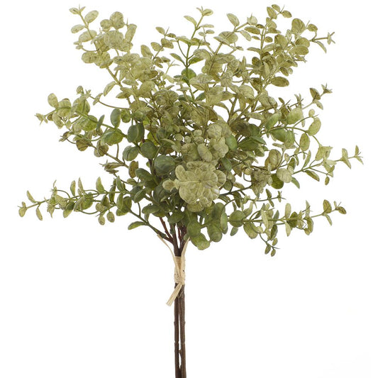 16" Boxwood Bundle x3  Green