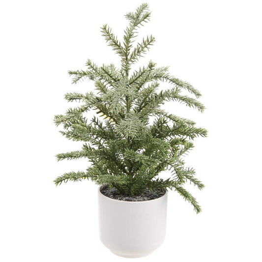 13.5" Frosted Pine Tree in Plastic Pot Green