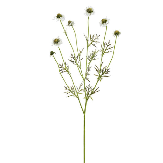 35" Scabiosa Spray  White