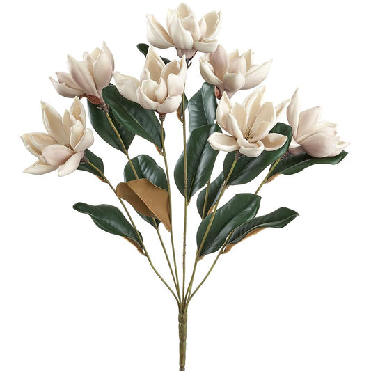 23" MAGNOLIA BUSH BE