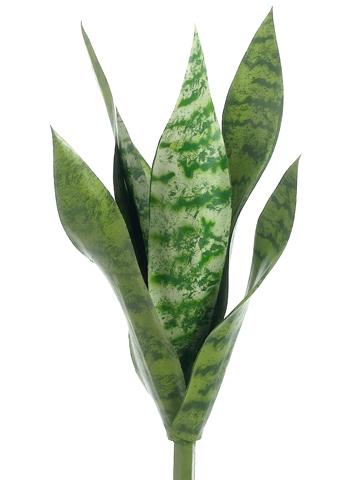 15.5" Mother-In-Law's Tongue x9 Green