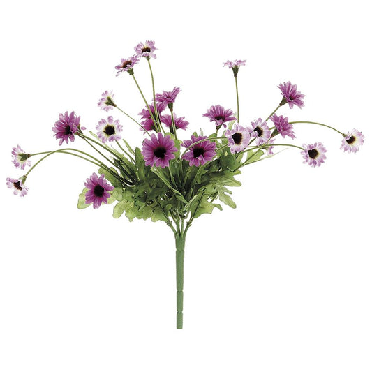 10.5" Daisy Bush x5  Two Tone Purple