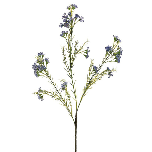 27" Waxflower Spray x3 With 72 Flowers And 36 Buds Blue