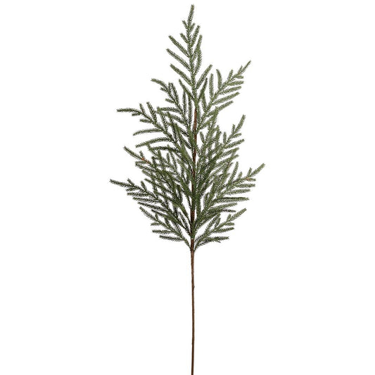 36" Cypress Spray  Gray Green