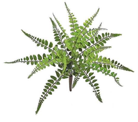 Wing Fern Bush, #FL6006-G