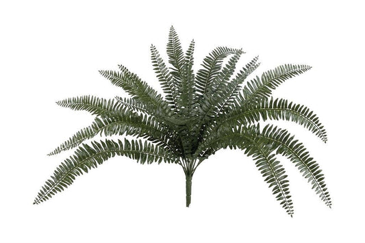 Boston Fern Bush, #FL6956/M-G