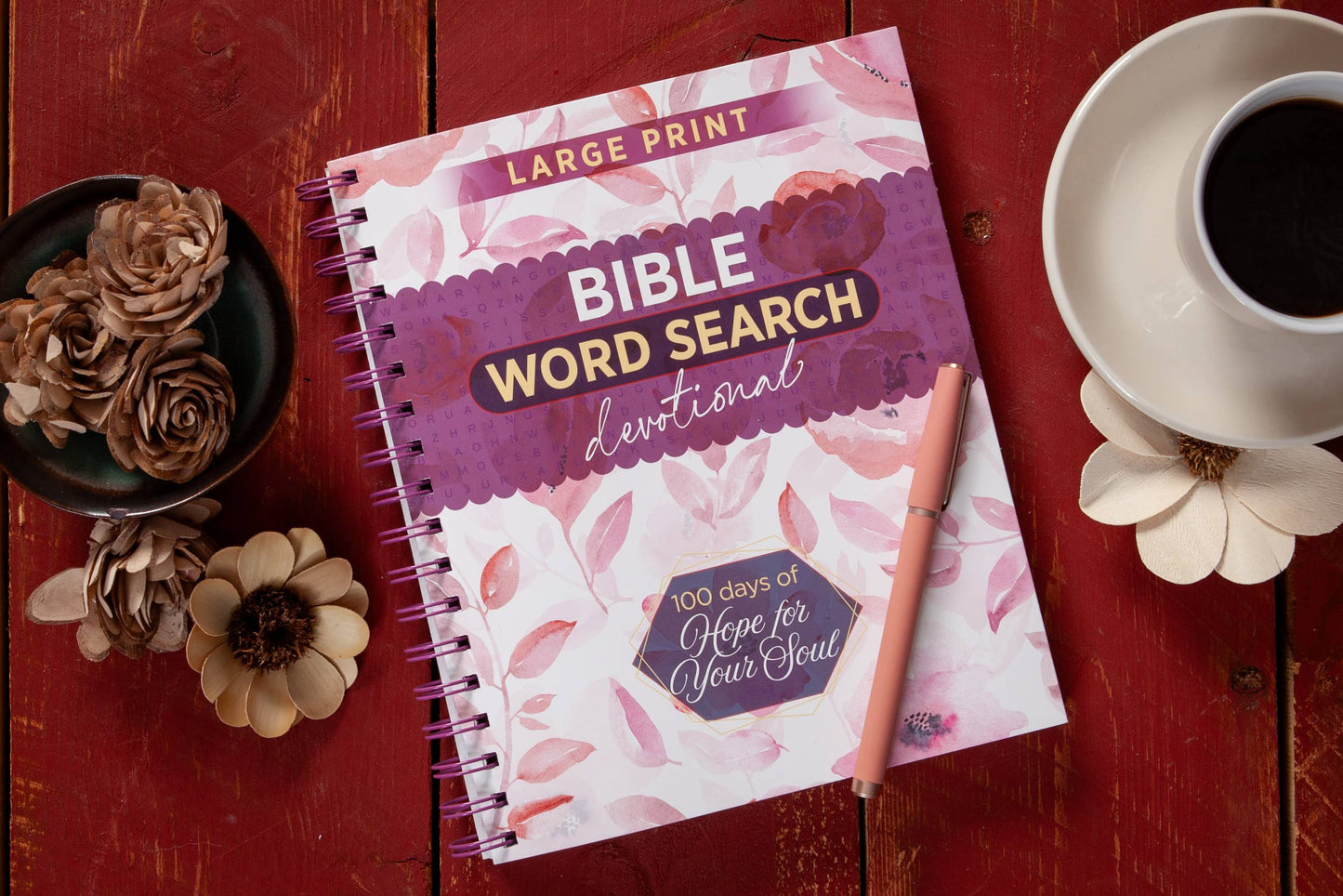 100 Days of Hope for Your Soul (Word Search Devotional)