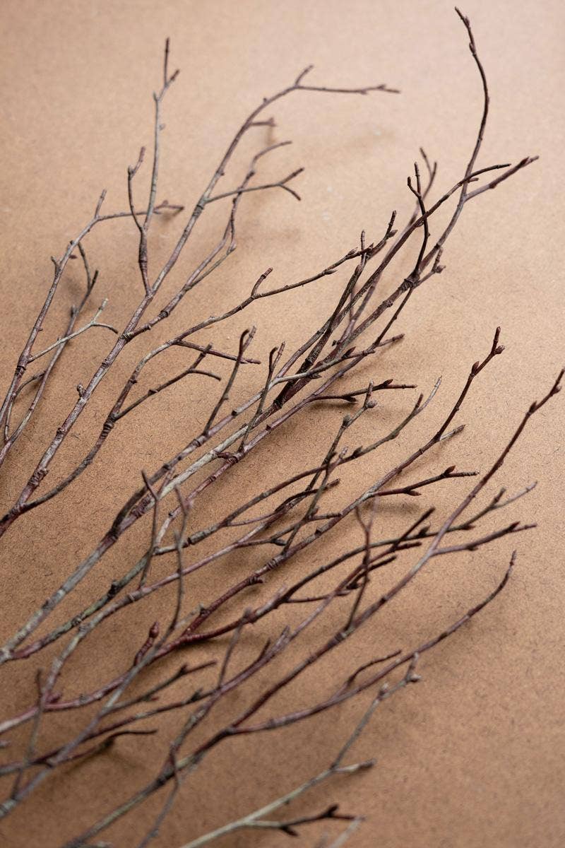 ARTIFICIAL BIRCH BRANCH STEM
