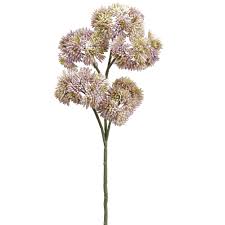 9" Sedum Bundle MV/Gr