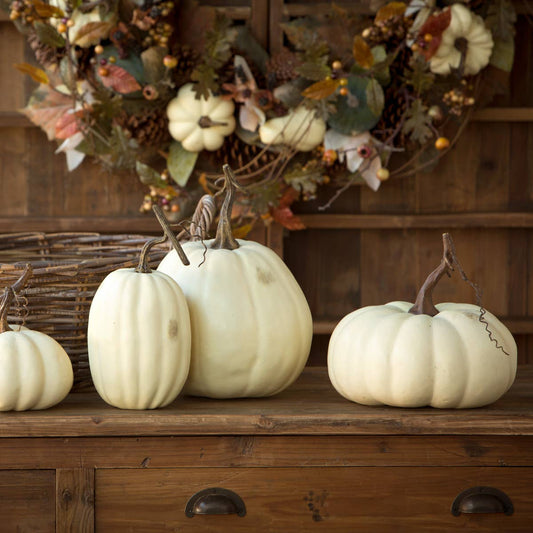 Full Moon Pumpkin Collection