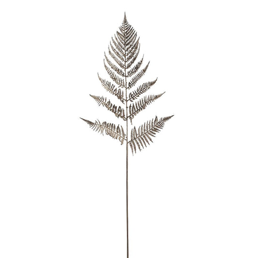 Brown Fern Spray