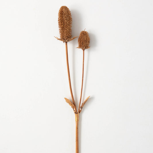 Thistle Spray BROWN