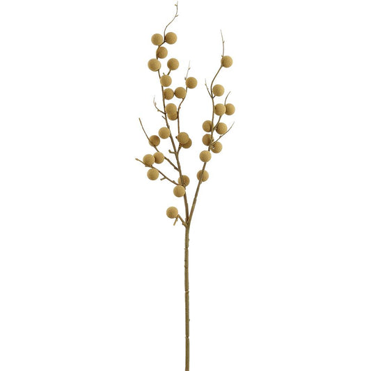 Longan Spray BR
