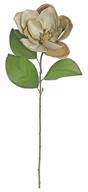 VELVET MAGNOLIA WITH GOLD EDGE, 29", 6" BLOOM