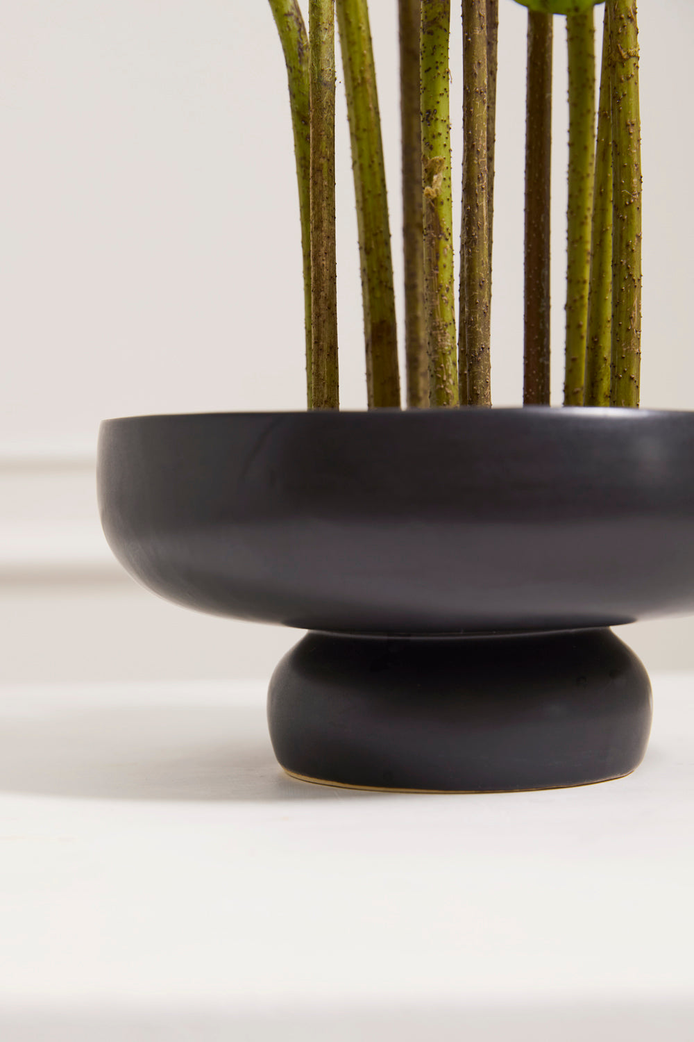 Nightingale Compote