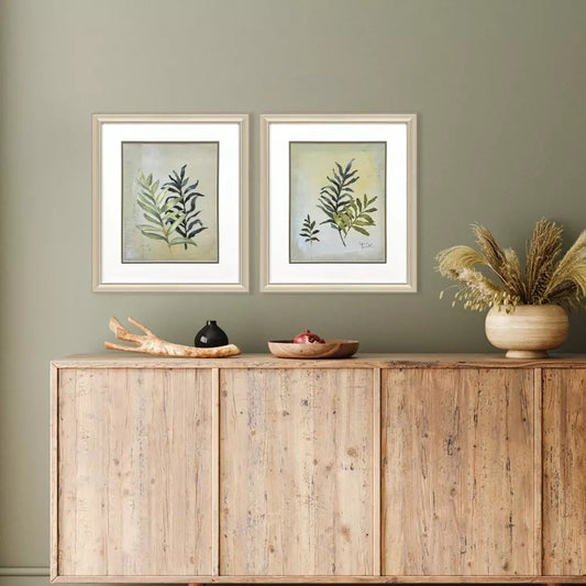Ferns Aglow