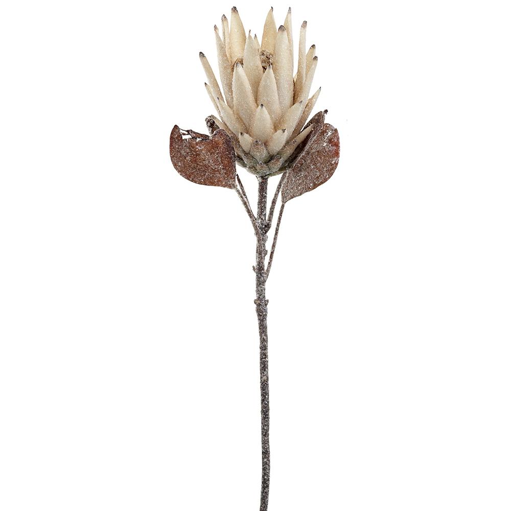 Glittered Protea Stem CR