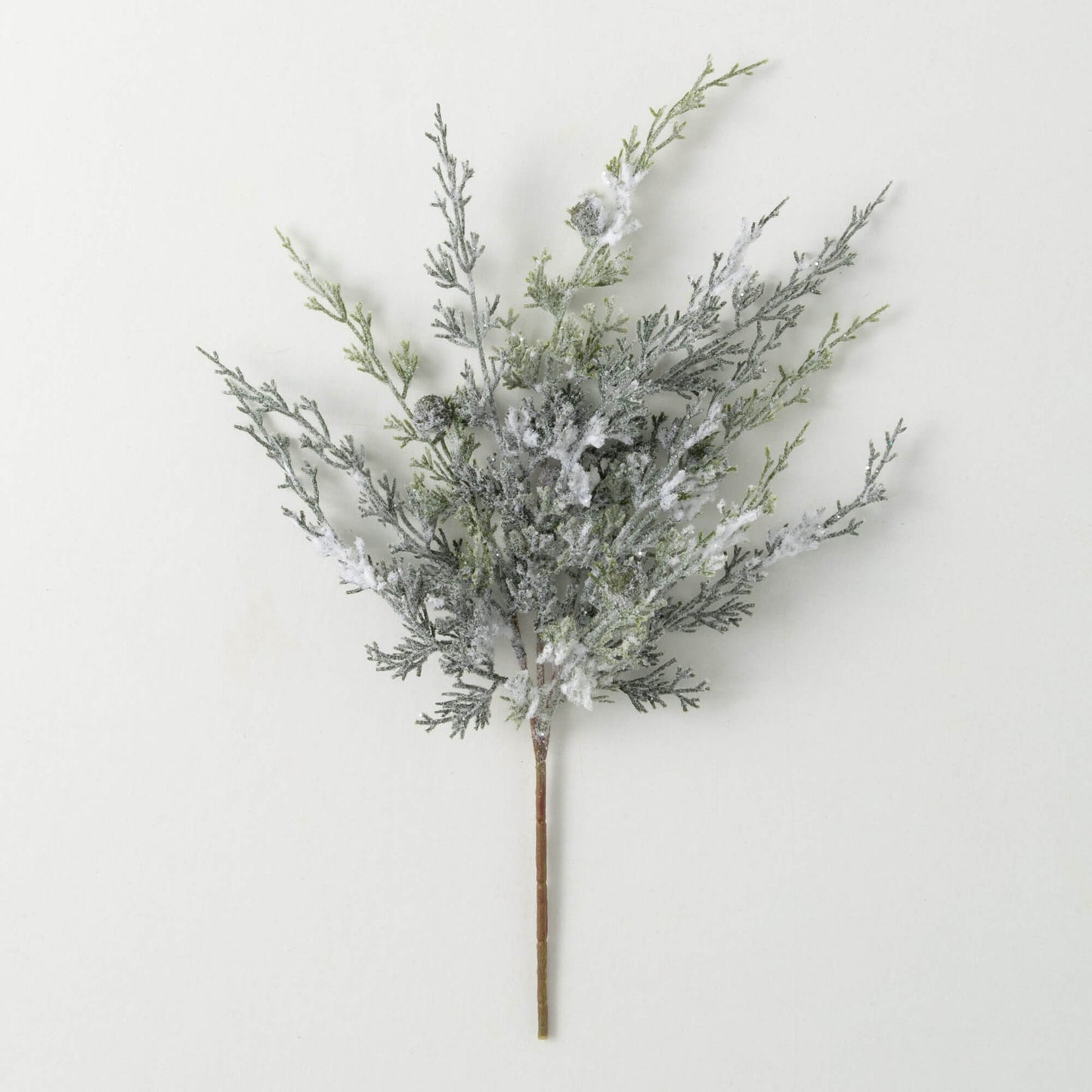 FROSTED DRAPING CYPRESS PICK