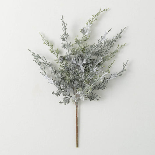 FROSTED DRAPING CYPRESS PICK