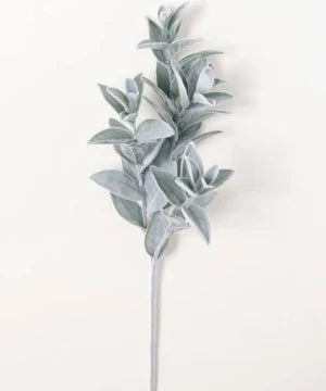Lamb's Ear Spray GR/GY