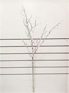 SNOWY TWIG BRANCH, 48"; PE, WHITE