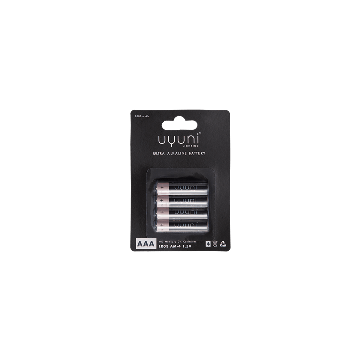 AAA Battery