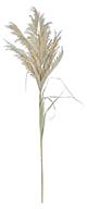 WHEATGRASS SPRAY, 41", 17" PLUME, GREY