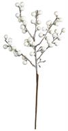 GLITTERED BERRY PICK, 15", WHITE